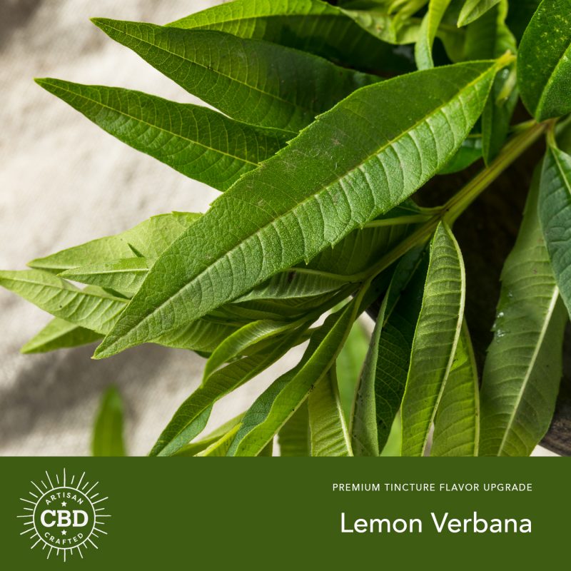 Lemon Verbana Flavored CBD Tinctures