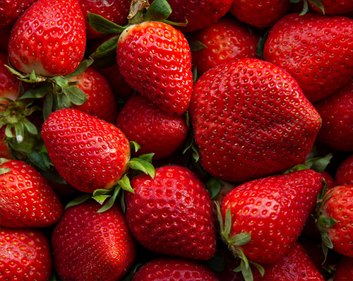 Strawberry Flavored CBD Tinctures
