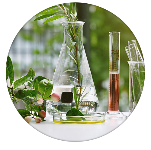 Premium Botanical Essential Oils and Extracts