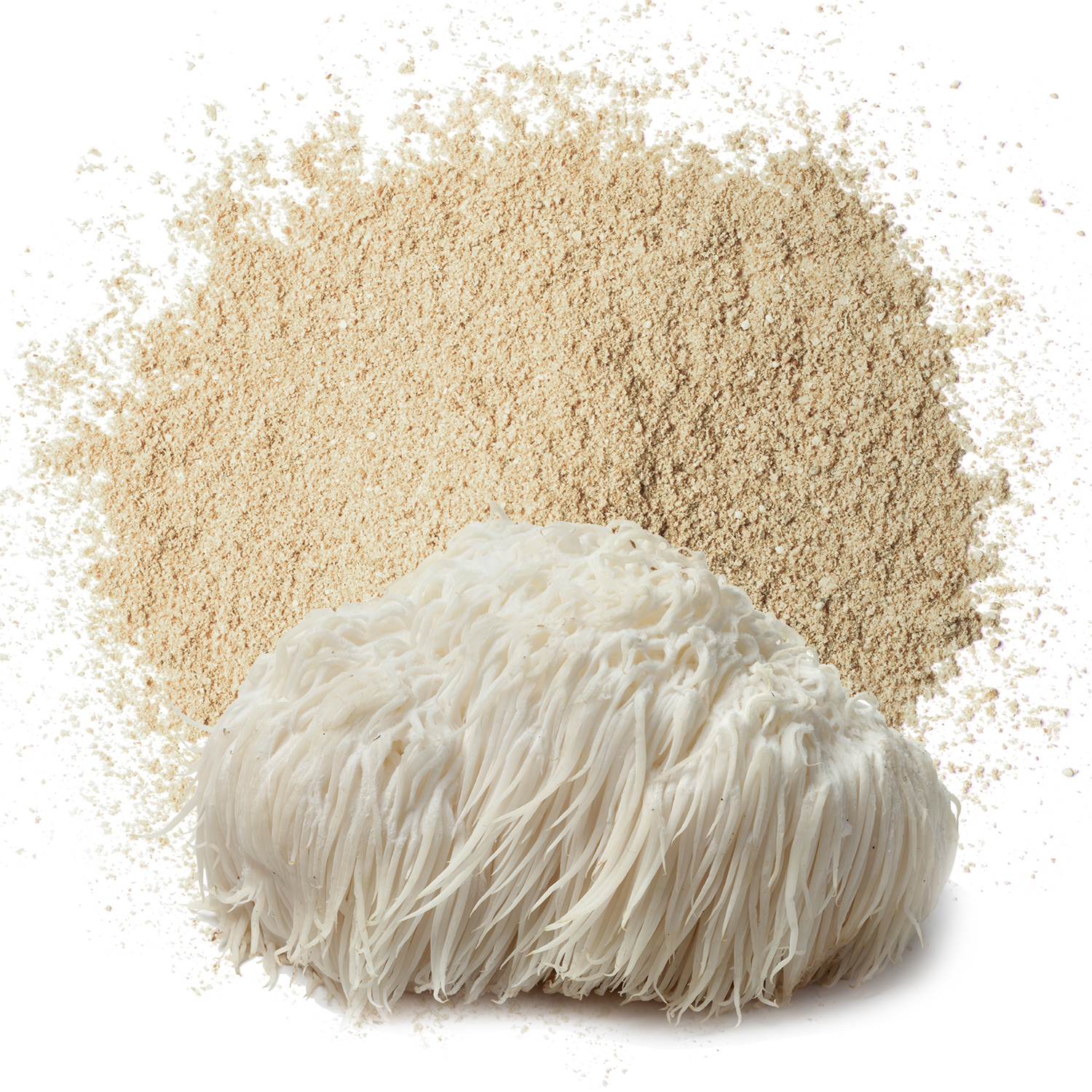 Wholesale Lion's Mane Mushroom Extract Powder